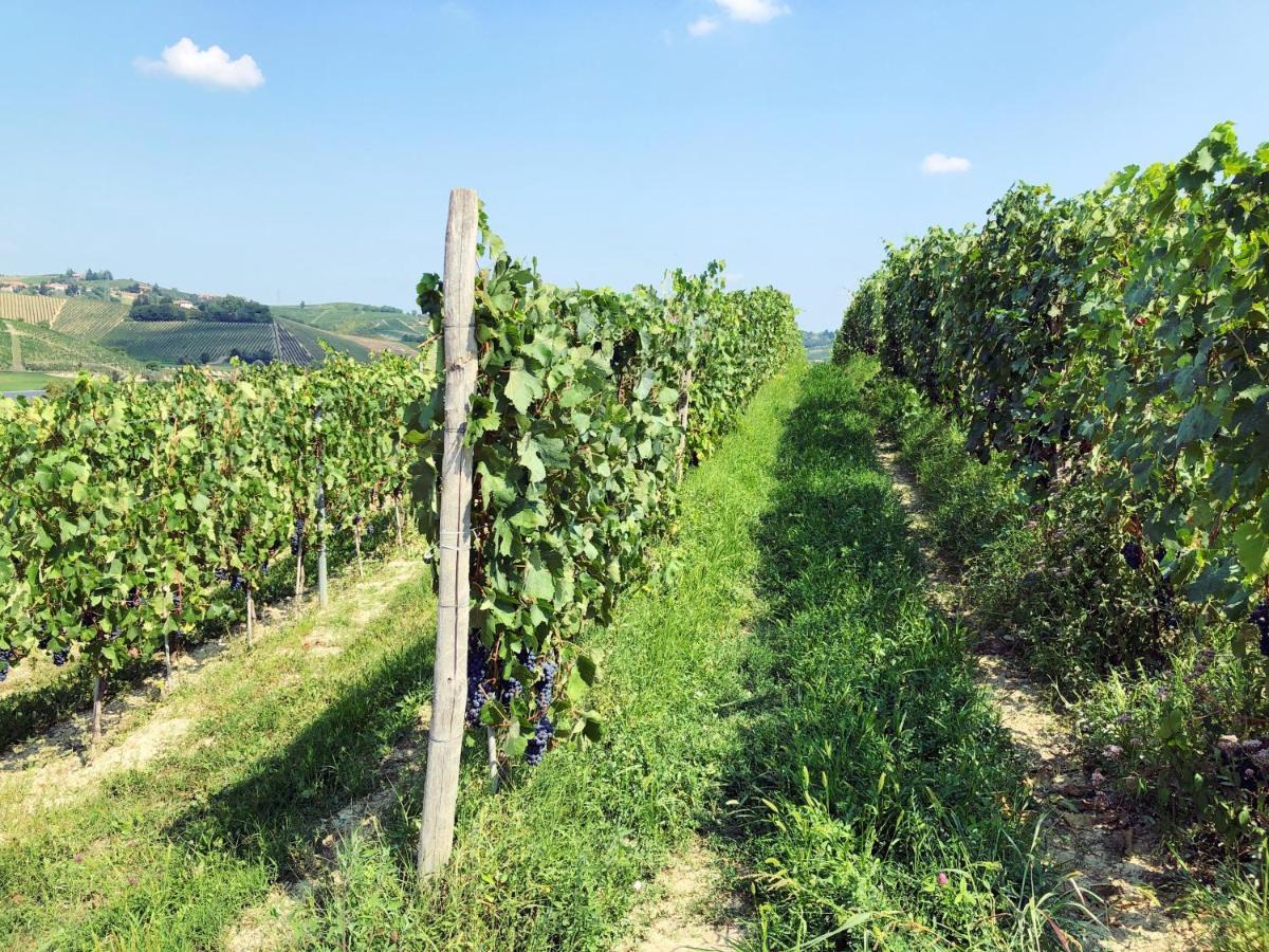 Agriturismo La Mussia Castelnuovo  Exteriér fotografie