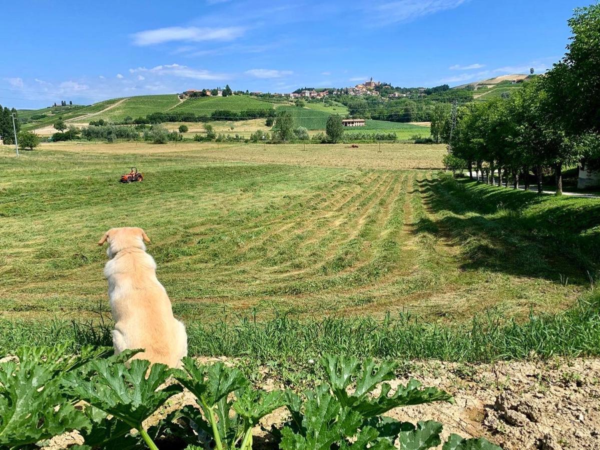Agriturismo La Mussia Castelnuovo  Exteriér fotografie