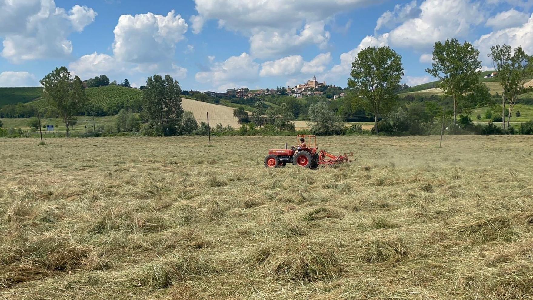 Agriturismo La Mussia Castelnuovo  Exteriér fotografie